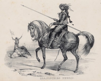 Пикадор на лошади испанской породы (лист 46 первого тома работы профессора Шинца Naturgeschichte und Abbildungen der Menschen und Säugethiere..., вышедшей в Цюрихе в 1840 году)