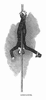 Занятия гимнастикой в британской Королевской морской школе при Королевском военно--морском госпитале, расположенном в Гринвиче (The Illustrated London News №303 от 19/02/1848 г.)