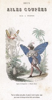 Морфо адонис, поющий серенады своей прекрасной даме. Les Papillons, métamorphoses terrestres des peuples de l'air par Amédée Varin. Париж, 1852