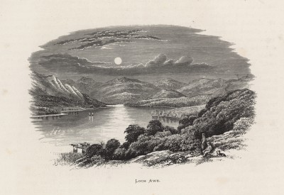 На озере Лох-Аве в Шотландии (иллюстрация к работе "Пресноводные рыбы Британии", изданной в Лондоне в 1879 году)