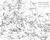 План сражения при Вахау 16 октября 1813 г. Die Deutschen Befreiungskriege 1806-1815. Берлин, 1901