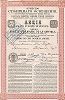 Общество столичного освещения. Акция в 100 рублей серебром. СПб, 1858. 