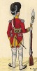 1805 г. Младший офицер лейб-грендерского полка королевства Саксония в парадной форме (вид сзади). Коллекция Роберта фон Арнольди. Германия, 1911-29