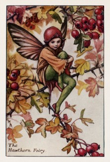 Осенние феи: фея ягод боярышника