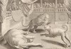 Александр Великий устраивает зрелища для народа. Состязаются собака и слон: злая собака слона устрашает лаем и, повергнув, убивает окровавленной пастью. Но даже неистовую собаку одолевает и убивает лев (Venationes Ferarum, Avium, Piscium, лист 4)