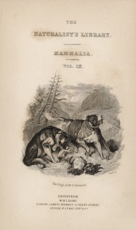 Титульный лист тома IV "Библиотеки натуралиста" Вильяма Жардина, изданного в Эдинбурге в 1839 году и посвящённого Петеру Симону Палласу (на миниатюре сенбернары спасают путника)