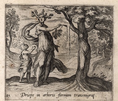 Превращение Дриопы в дерево. Гравировал Антонио Темпеста для своей знаменитой серии "Метаморфозы" Овидия, л.87. Амстердам, 1606