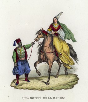 Одалиска в конном строю (иллюстрация к L'Africa francese... - хронике французских колониальных захватов в Северной Африке, изданной во Флоренции в 1846 году)