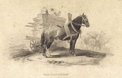 Ломовая лошадь, запряжённая в телегу. Лондон, 1828