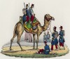 Верблюд как военно-транспортное средство (иллюстрация к L'Africa francese... - хронике французских колониальных захватов в Северной Африке, изданной во Флоренции в 1846 году)