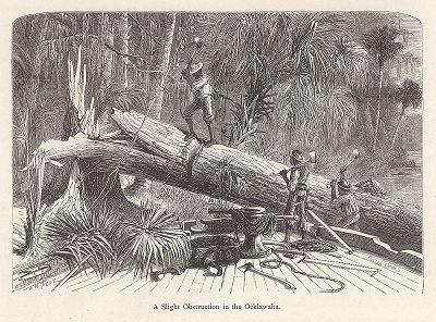 Лесорубы убирают упавшее дерево, преградившее путь кораблю на реке Оклаваха-ривер. Лист из издания "Picturesque America", т.I, Нью-Йорк, 1872.