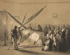 1 июля 1855 г. Адмирал П.С.Нахимов в гробу, покрытом простреленным  флагом с корабля "Императрица Мария", на котором покойный имел свой флаг в сражении при Синопе. Русский художественный листок, №19, 1856