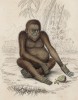 Азиатский орангутанг ( Pythecus Satyrus (лат.)) (лист 2* тома II "Библиотеки натуралиста" Вильяма Жардина, изданного в Эдинбурге в 1833 году)