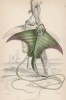 Обыкновенный скат-орляк (Myliobatis aquila (лат.)) (лист 32 XXXIII тома "Библиотеки натуралиста" Вильяма Жардина, изданного в Эдинбурге в 1843 году)
