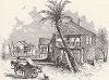 Улица Сент-Френсис, Сент-Аугустин, штат Флорида. Лист из издания "Picturesque America", т.I, Нью-Йорк, 1872.