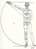 Пропорции мужской фигуры (вид спереди) (из "Четырёх книг о человеческих пропорциях" Альбрехта Дюрера)