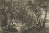 Лесной пейзаж с пастухом и овечками. Гравюра Схелте Адамса Болсверта из сюиты малых пейзажей по по оригиналам Питера Пауля Рубенса, около 1638 года. 
