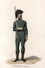 Русский гвардейский егерь (лист 4 редкой работы The Costume of the Russian Army, from a Collection of Drawings made on the spot of the Right Honourable The Earl of Kinnaird, изданной в Лондоне в 1807 году)
