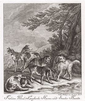 Небольшие английские гончие и собаки, поднимающие дичь. Гравюра Иоганна Элиаса Ридингера из Entwurff Einiger Thiere ..., Аугсбург, 1738. 