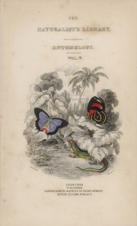 Титульный лист XXXVI тома "Библиотеки натуралиста" Вильяма Жардина, изданного в Эдинбурге в 1837 году и посвящённого Ламарку (на миниатюре изображены бабочки)