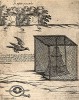 Способы расставления силков для ловли ястреба и установки ловушки для коршуна. Из первого (1622 г.) издания работы итальянского философа и натуралиста Джованни Пьетро Олины (1585-1645)