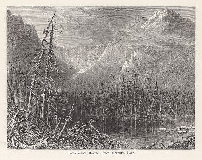 Ущелье Такермана, вид с озера Отшельников, Белые горы, штат Нью-Гемпшир. Лист из издания "Picturesque America", т.I, Нью-Йорк, 1872.