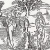 Ева, вкушающая яблоко (иллюстрация к книге "Рыцарь Башни", гравированная Дюрером в 1493 году)