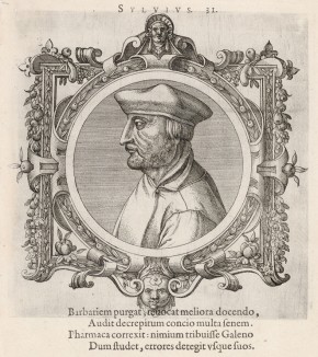 Яков Сильвий (1478--1555 гг.) -- французский врач и анатом (лист 31 иллюстраций к известной работе Medicorum philosophorumque icones ex bibliotheca Johannis Sambuci, изданной в Антверпене в 1603 году)