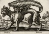 Чудовищный монстр (pantera (ит.)) (лист из альбома Nova raccolta de li animali piu curiosi del mondo disegnati et intagliati da Antonio Tempesta... Рим. 1651 год)