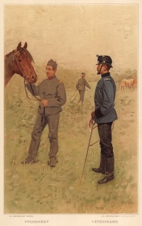 Ветеринар швейцарских кавалерийских частей (из альбома хромолитографий L' Armée Suisse... Цюрих. 1894 год)