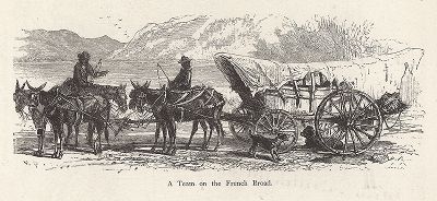 Повозка на берегу реки Френч-Броад-ривер, штат Северная Каролина. Лист из издания "Picturesque America", т.I, Нью-Йорк, 1872.