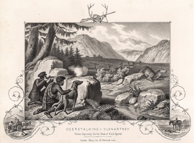 Охота на оленя в Шотландии. The Book of Field Sports and Library of Veterinary Knowledge. Лондон, 1864
