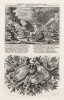 1. Смерть Елеазара, сына Саварона 2. Аллегорическая заставка на тему «Книги Маккавейской» (из Biblisches Engel- und Kunstwerk -- шедевра германского барокко. Гравировал неподражаемый Иоганн Ульрих Краусс в Аугсбурге в 1694 году)