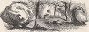 Камни причудливой формы на вершине Дозорной горы, штат Теннесси. Лист из издания "Picturesque America", т.I, Нью-Йорк, 1872.