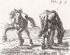 Кобыла и ее жеребенок на пастбище. Лист № 5 из сюиты Питера ван Лара, посвященной лошадям. 
