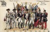 1758-1875 гг. Мундиры и знамена 5-го пехотного полка французской армии, сформированного в 1569 г. и сражавшегося при Флерюсе, Кастильоне, Ваграме и Анверсе. Коллекция Роберта фон Арнольди. Германия, 1911-29