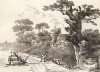 Пейзаж с плугом и крестьянином, собирающим хворост. Гравюра с рисунка знаменитого английского пейзажиста Томаса Гейнсборо из коллекции Дж. Хибберта. A Collection of Prints ...of Tho. Gainsborough, Лондон, 1819. 