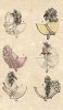1.Шляпки а-ля Китай 2.Шляпка а-ля Памела. Из первого французского журнала мод эпохи ампир Journal des dames et des modes, Париж, 1813. Модель № 1301