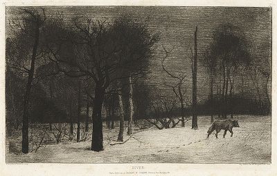 Зима  (Волк на снегу) работы Феликса Бракмона, 1864 год. 