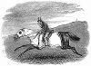 Тренировка лошади перед популярными в Великобритании скачками, которую предварительно очень тепло одевают (The Illustrated London News №104 от 27/04/1844 г.)