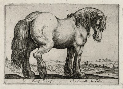 Конь фризской породы (лист из альбома Nova raccolta de li animali piu curiosi del mondo disegnati et intagliati da Antonio Tempesta... Рим. 1651 год)