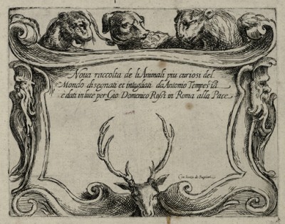 Титульный лист альбома гравюр Антонио Темпесты Nova raccolta de li animali piu curiosi del mondo disegnati et intagliati da Antonio Tempesta… Рим, 1650