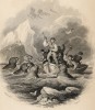 Титульный лист VI тома "Библиотеки натуралиста" Вильяма Жардина, изданного в Эдинбурге в 1843 году и посвящённого исследователю Австралии Франсуа Перону (на миниатюре сцена охоты на моржа в южных широтах)