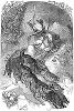 Зима, аллегорически изображённая на работе британского живописца и гравёра Уильяма Гарвей (1796 -- 1866) (The Illustrated London News №300 от 29/01/1848 г.)