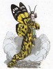 Парящая над землей бабочка из семейста Карпосинид в китайском одеянии. Les Papillons, métamorphoses terrestres des peuples de l'air par Amédée Varin. Париж, 1852