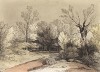 Лесной пейзаж. Гравюра с рисунка знаменитого английского пейзажиста Томаса Гейнсборо из коллекции Дж. Хибберта. A Collection of Prints ...of Tho. Gainsborough, Лондон, 1819. 
