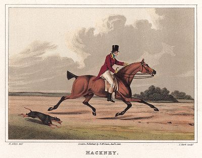Хакни -- легоупряжная порода лошадей, английский рысак.