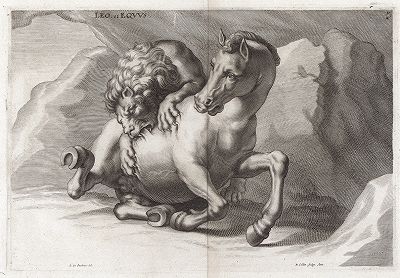 Лев, пожирающий коня. Лист из Sculpturae veteris admiranda ... Иоахима фон Зандрарта, Нюрнберг, 1680 год. 
