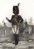 Полковник пеших гренадер Старой гвардии Наполеона. Литография Н.-Т. Шарле. Париж, 1817