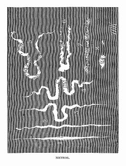 Схема, иллюстрирующая различные очертания принимаемым метеором, наблюдаемым в 1848 году жителями древнего города Варанаси в северо--восточной Индии (The Illustrated London News №298 от 15/01/1848 г.)